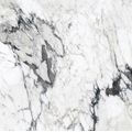 Rex Les Bijoux dlažba 120x120 calacatta altissimo blanc glossy 6mm - galerie #2