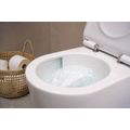 Hansgrohe EluPura S Závěsné WC 54 cm Rimless AquaHelix, bílá SmartClean 61114450 - galerie #3