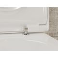 Hansgrohe EluPura Q Závěsné WC AquaFall se sedátkem SoftClose, bílá HygieneEffect 62023450 - galerie #1